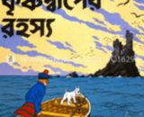 দুঃসাহসী টিনটিন: কৃষ্ণদ্বীপের রহস্য, উপন্যাস,