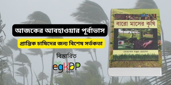 Abohawa Bangladesh Review | আজকের আবহাওয়ার পূর্বাভাস ২০২৫