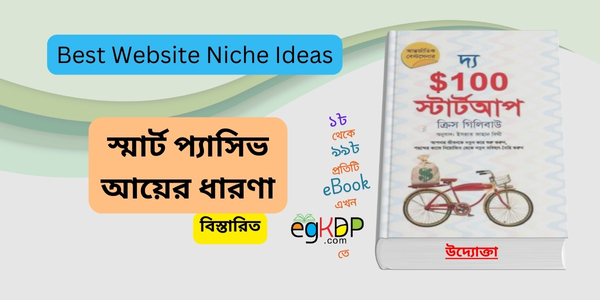 Best Website Niche Ideas দ্য $100 স্টার্টআপ