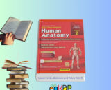 BD Chaurasia Anatomy Book Price | Lower Limb, Abdomen & Pelvis Review BD Chaurasia lower limb anatomy book open page. Lower limb bones labeled diagram anatomy Female abdomen anatomy illustration. Pelvis anatomy male vs female diagram. BD Chaurasia anatomy volume 2 paperback cover.